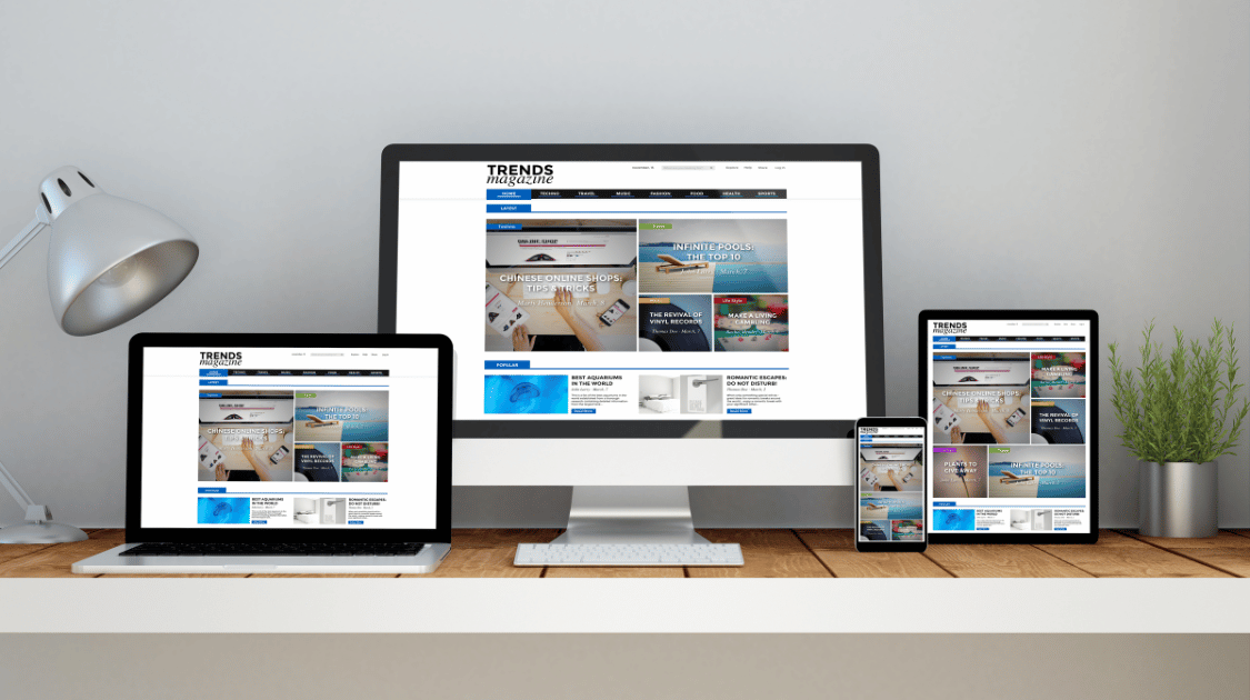 Responsive website design